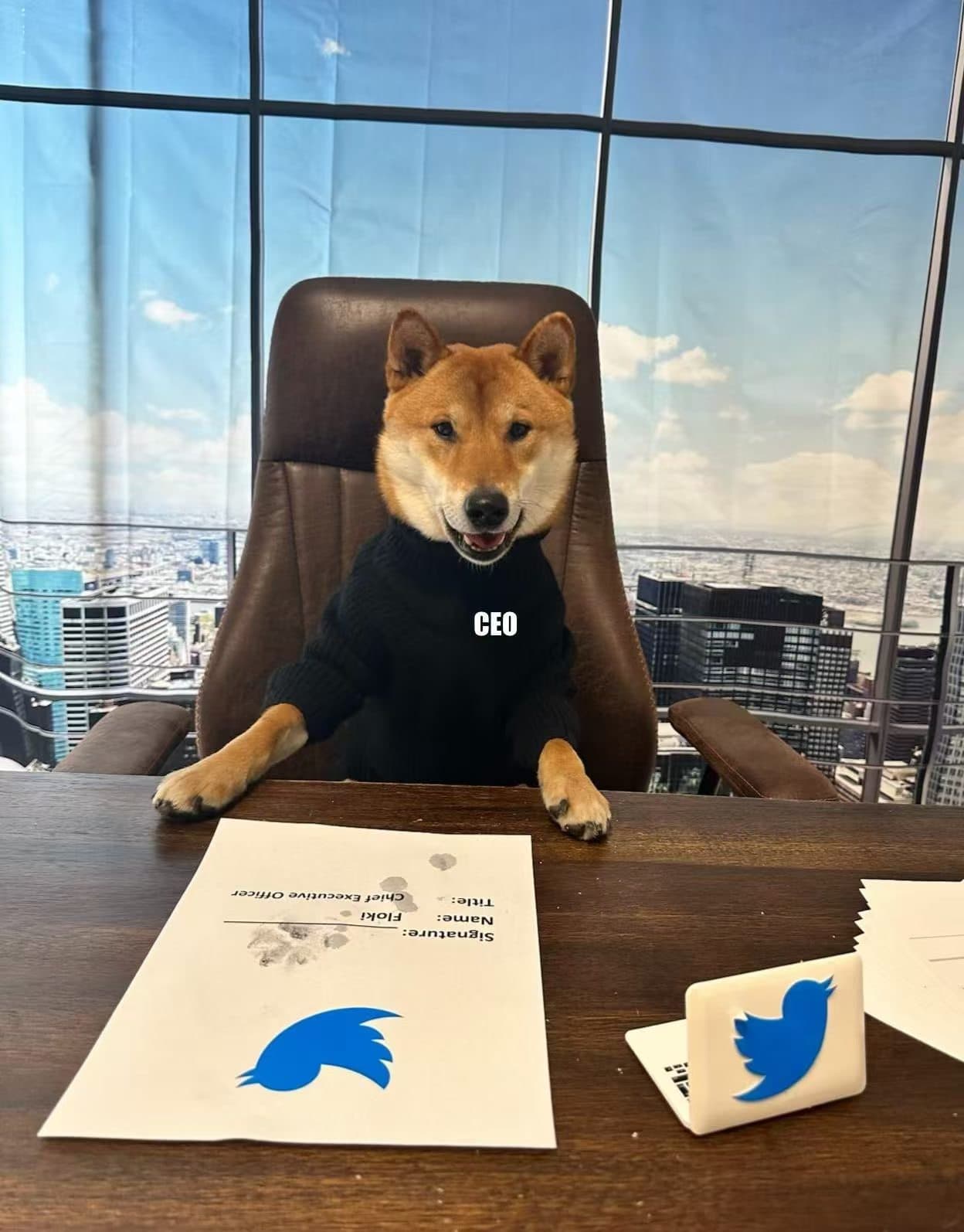 DOGECEO