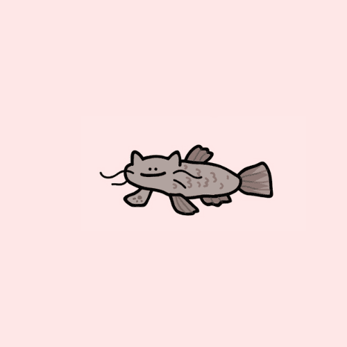 catfish