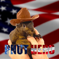 Pnut Hero