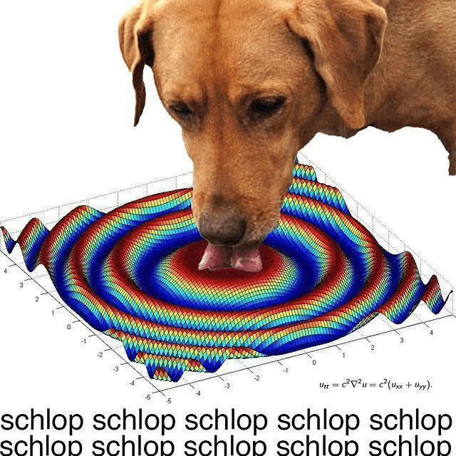 schlop