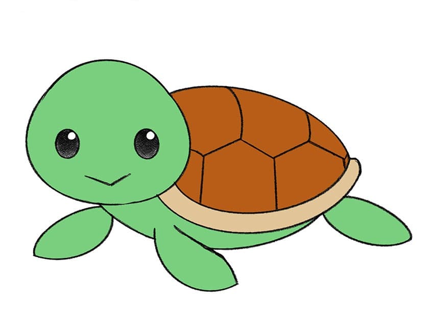 Turt