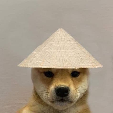 Chinawif