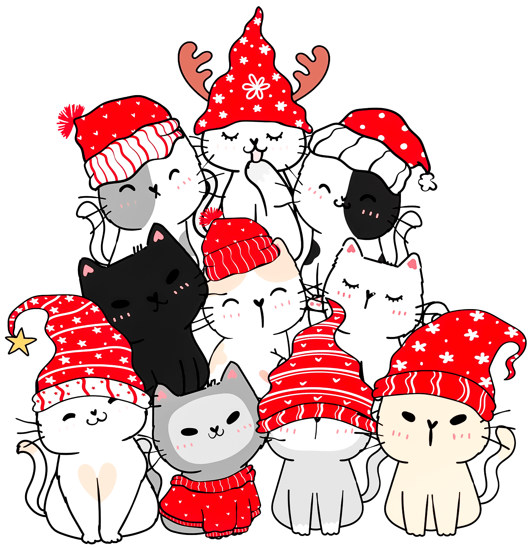 CATMAS