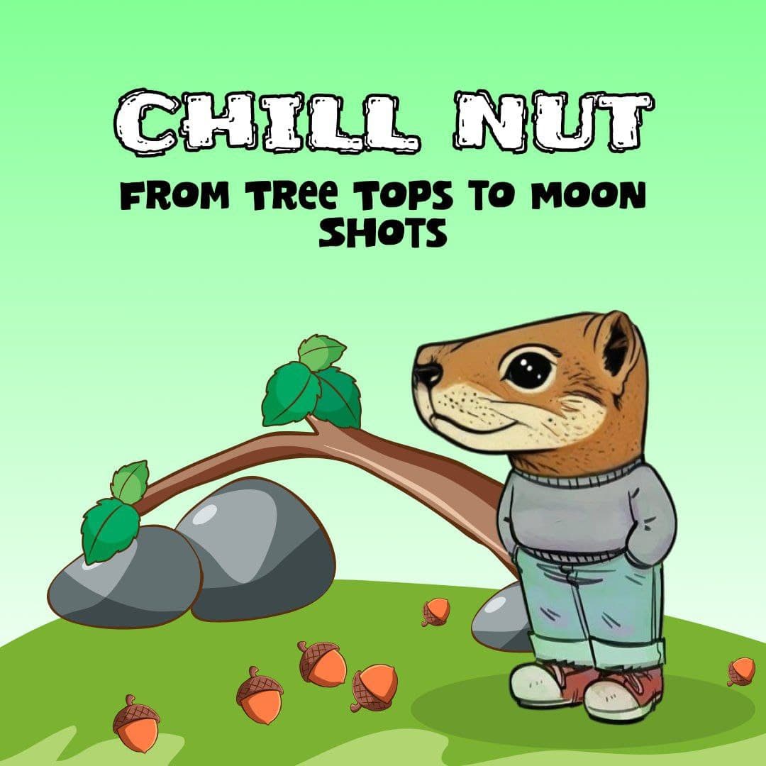 $ChillNut